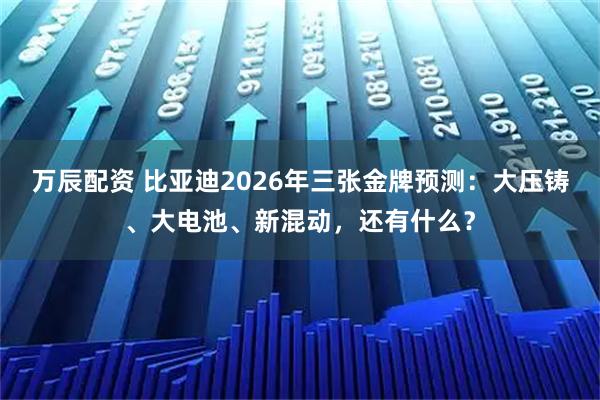 万辰配资 比亚迪2026年三张金牌预测：大压铸、大电池、新混动，还有什么？
