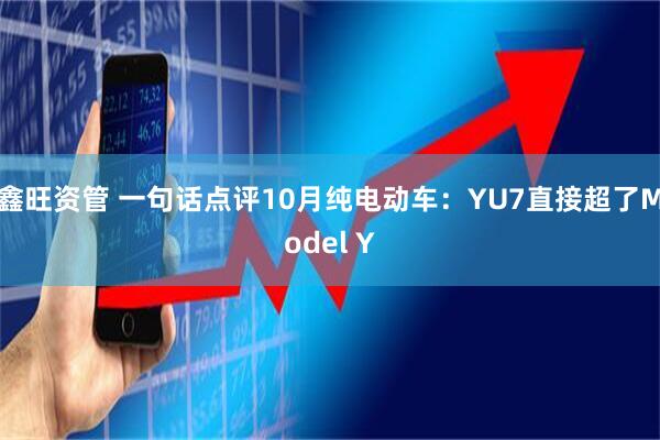 鑫旺资管 一句话点评10月纯电动车：YU7直接超了Model Y